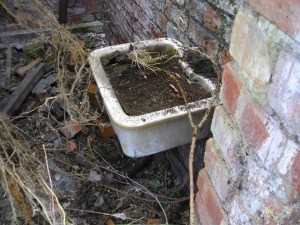 Everything...AND the sink.