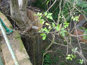 Looking down from the handrail of the headgear level, at the lower terrace.
