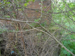 Where the site drops away to the track and canal side.