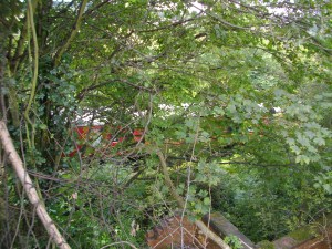 Elsecar Heritage Railway engine steaming by.