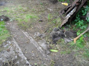 Intriguing concrete support for something...