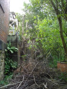 From the lower terrace looking up towards the main headgear level.