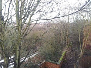 Looking down on the lower terrace and over the Elsecar Heritage Railway.