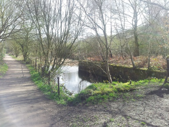 Hemingfield basin today (2019)