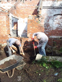 Peeling back the surface