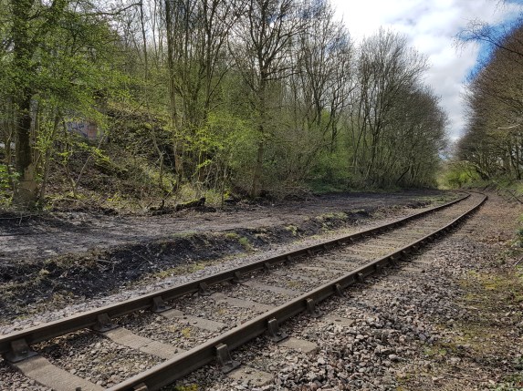 Trackside clearance work