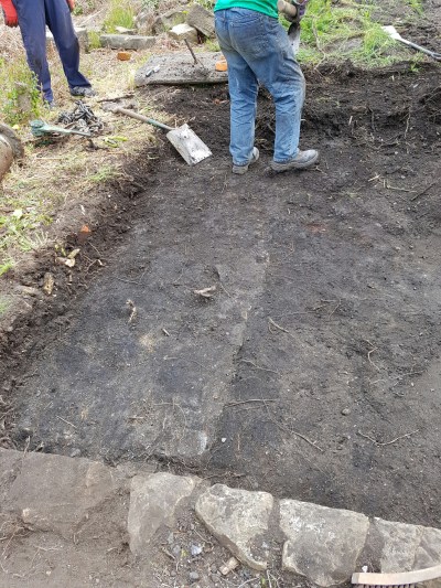 wp-1464453858302 image