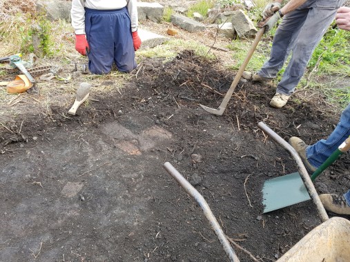 wp-1464453920514 image