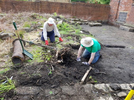 wp-1464454088127 image