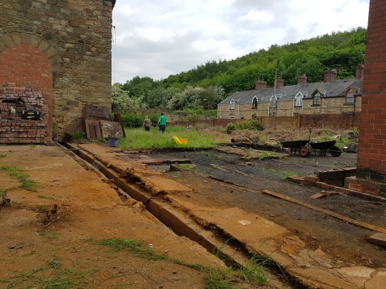 wp-1464454106573 image