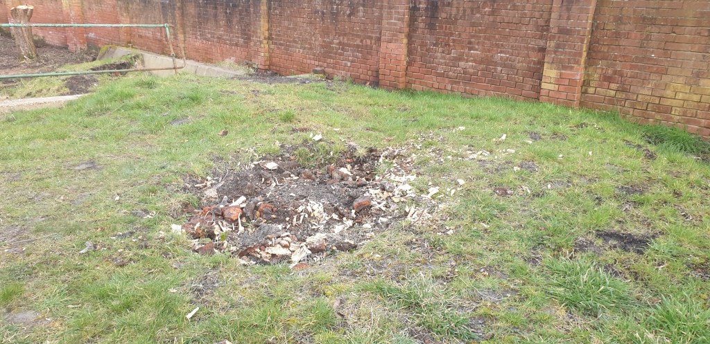 clear hole in the ground where the stump once was