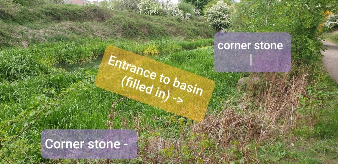 Image showing where the Elsecar branch meets the entrance to the Hemingfield basin (now filled in). The original cornerstones marking the entrance can still be seen amongst the undergrowth (indicated)