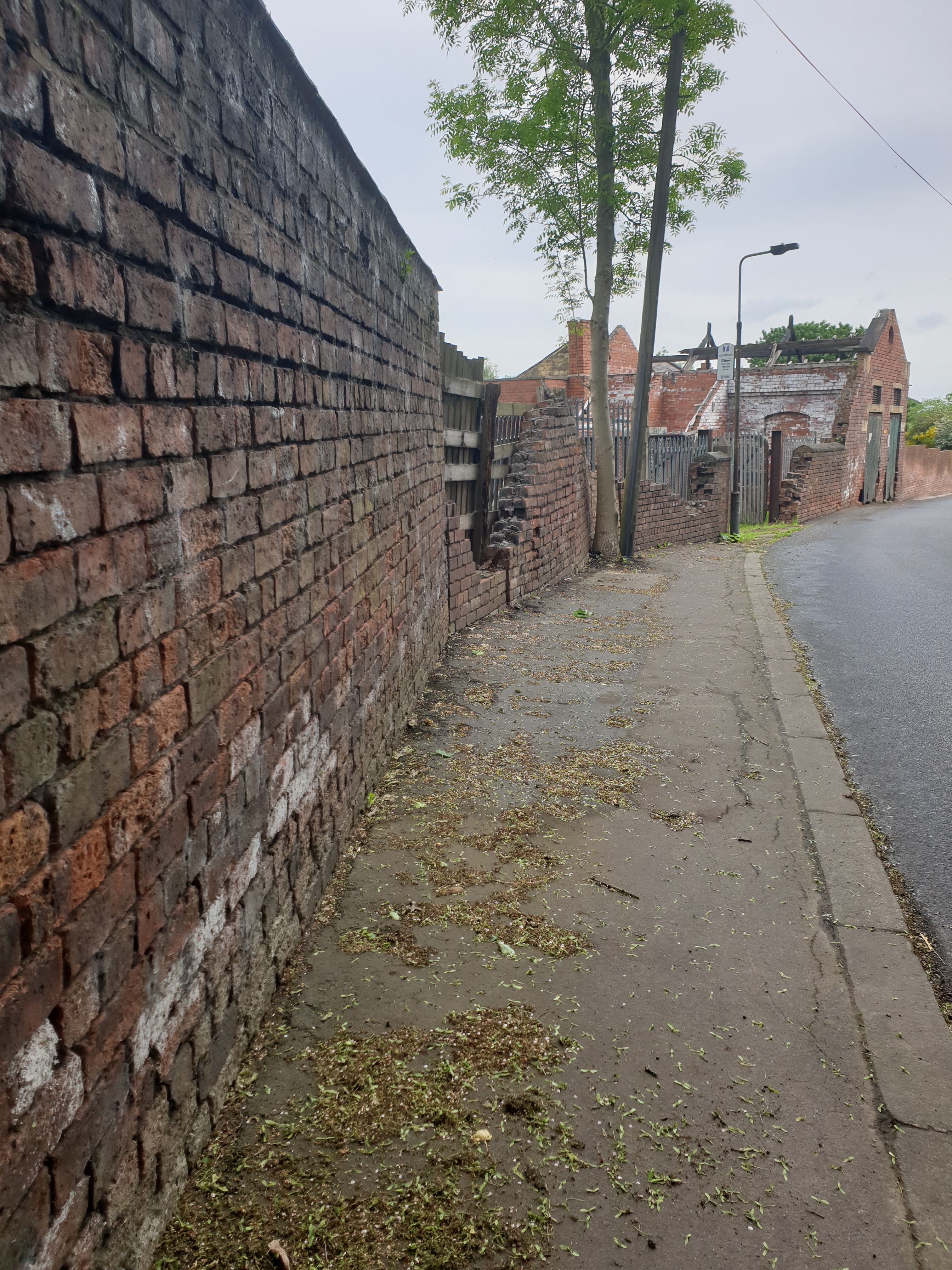 Hemingfield Colliery wp-1653577830421 | Friends of Hemingfield Colliery