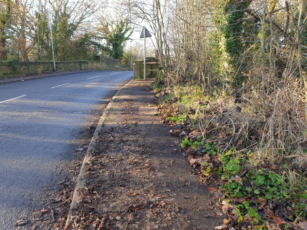 View of a carpet of thick frozen leaves covering the pavement by Cobcar bridge into Elsecar. Part of the pavement is cleared, more to do.